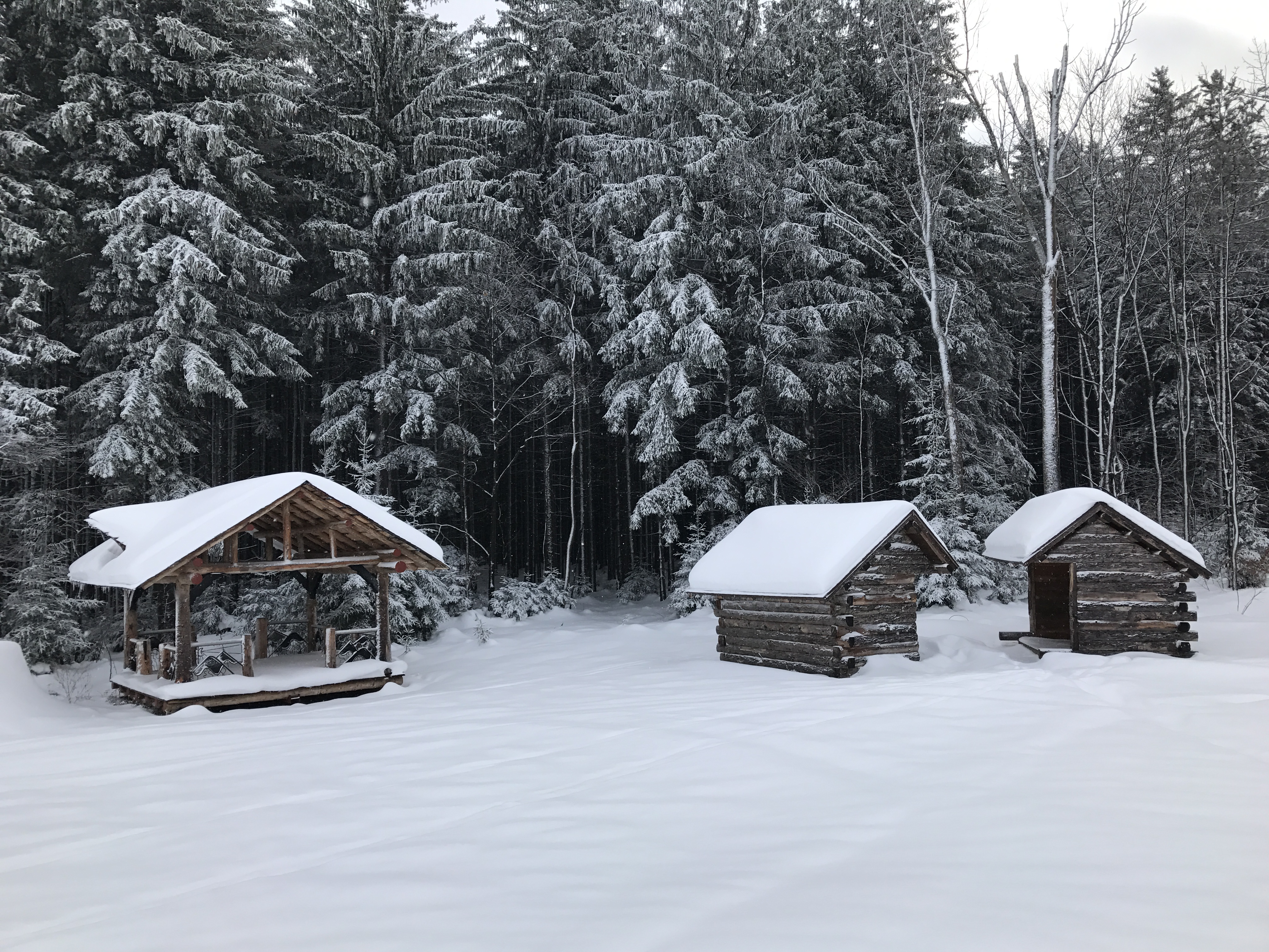 Snow-covered log shelters along a cross-country ski trail near Ellicottville